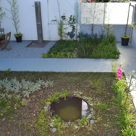 Будинок відпочинку Saint Victor House Брага